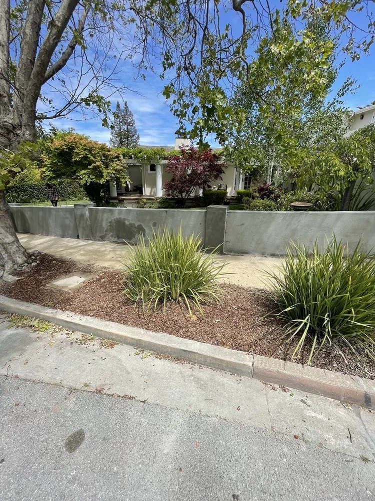 Reliable yard cleanup service for homes across San Mateo, CA - Jesus Alvarez Landscaping