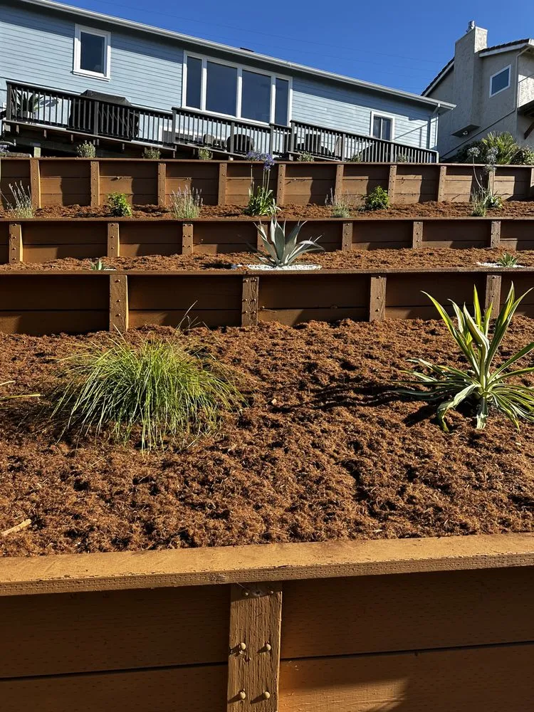 Expert yard maintenance experts serving San Mateo, CA - Jesus Alvarez Landscaping