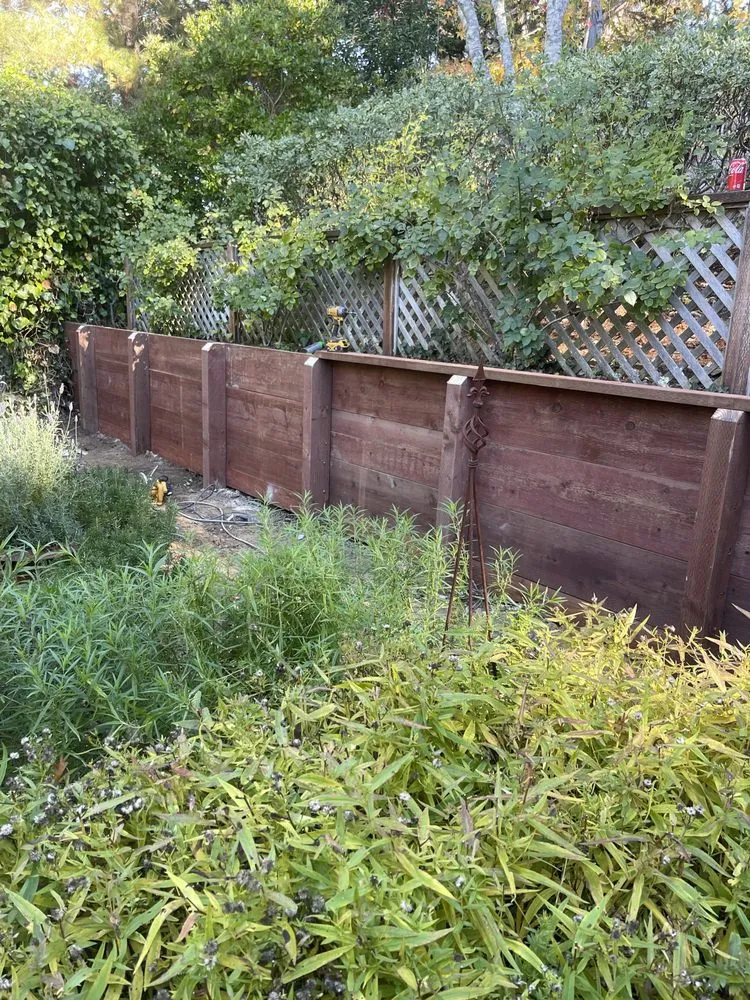 Reliable yard cleanup service for homes across San Mateo, CA - Jesus Alvarez Landscaping