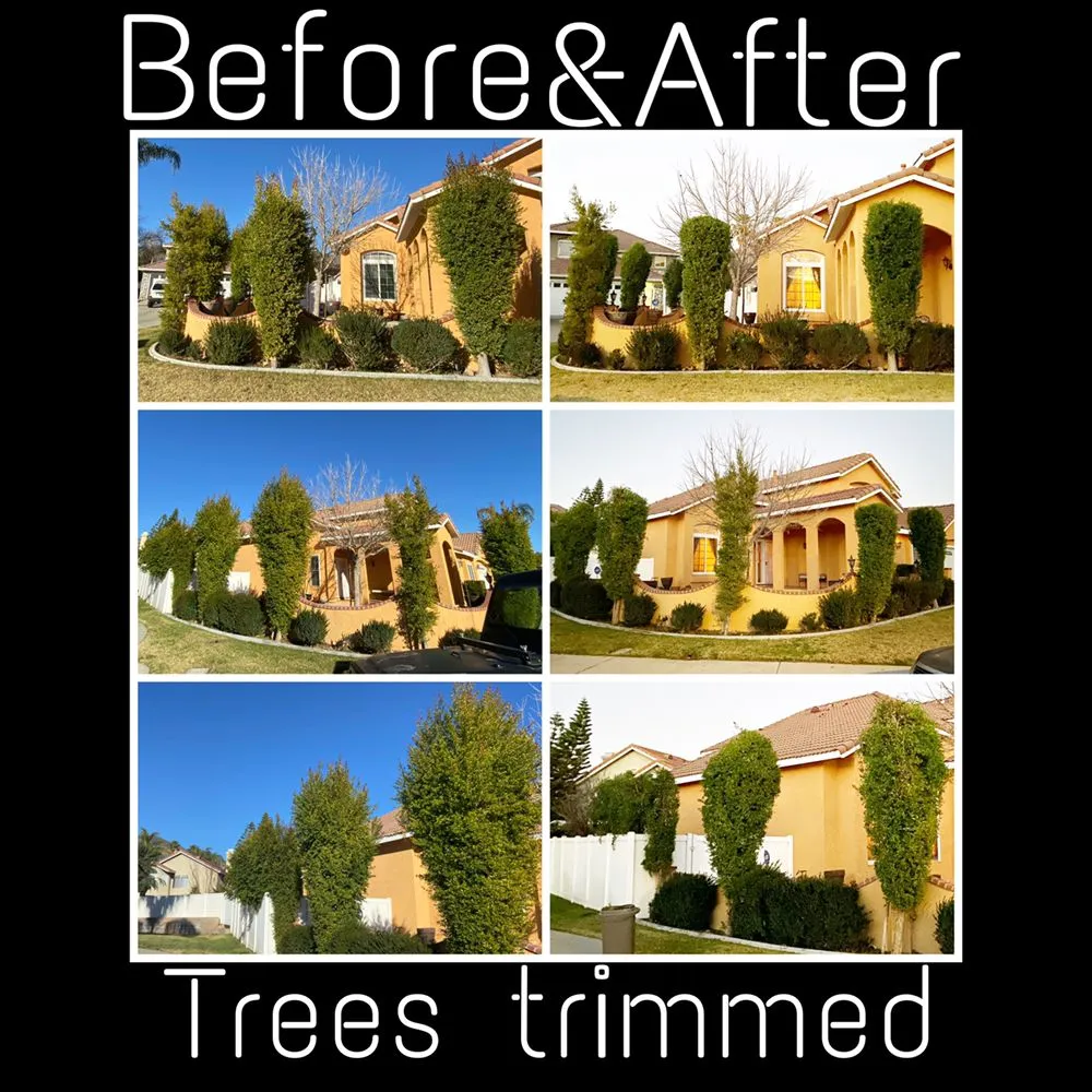 Top-rated lawn care service for homes in San Bernardino, CA by Jesus Barajas Landscaping