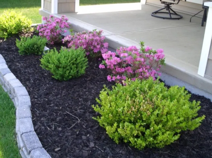 Reliable residential landscaping in San Bernardino, CA by Jesus Barajas Landscaping