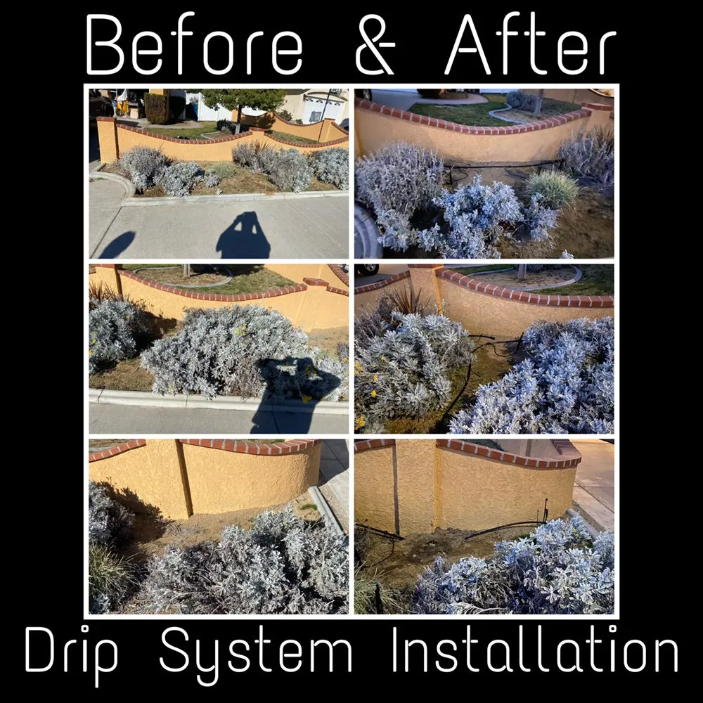 Expert landscape design for residential properties across San Bernardino, CA - Jesus Barajas Landscaping