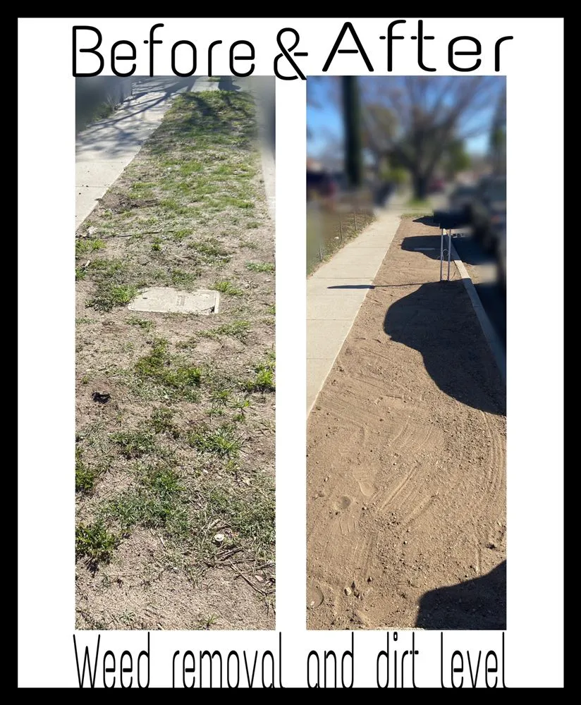 Affordable yard maintenance with custom design across San Bernardino, CA - Jesus Barajas Landscaping