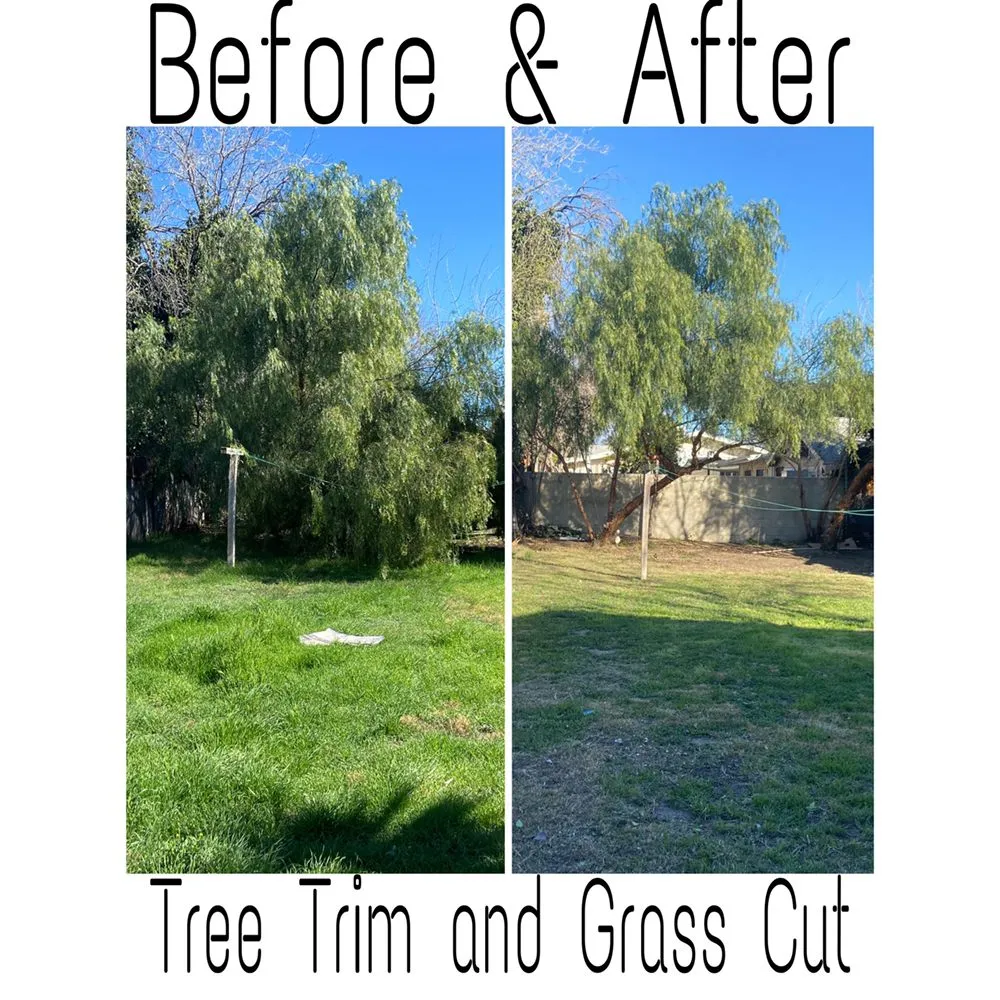 Affordable yard maintenance for beautiful yards across San Bernardino, CA - Jesus Barajas Landscaping