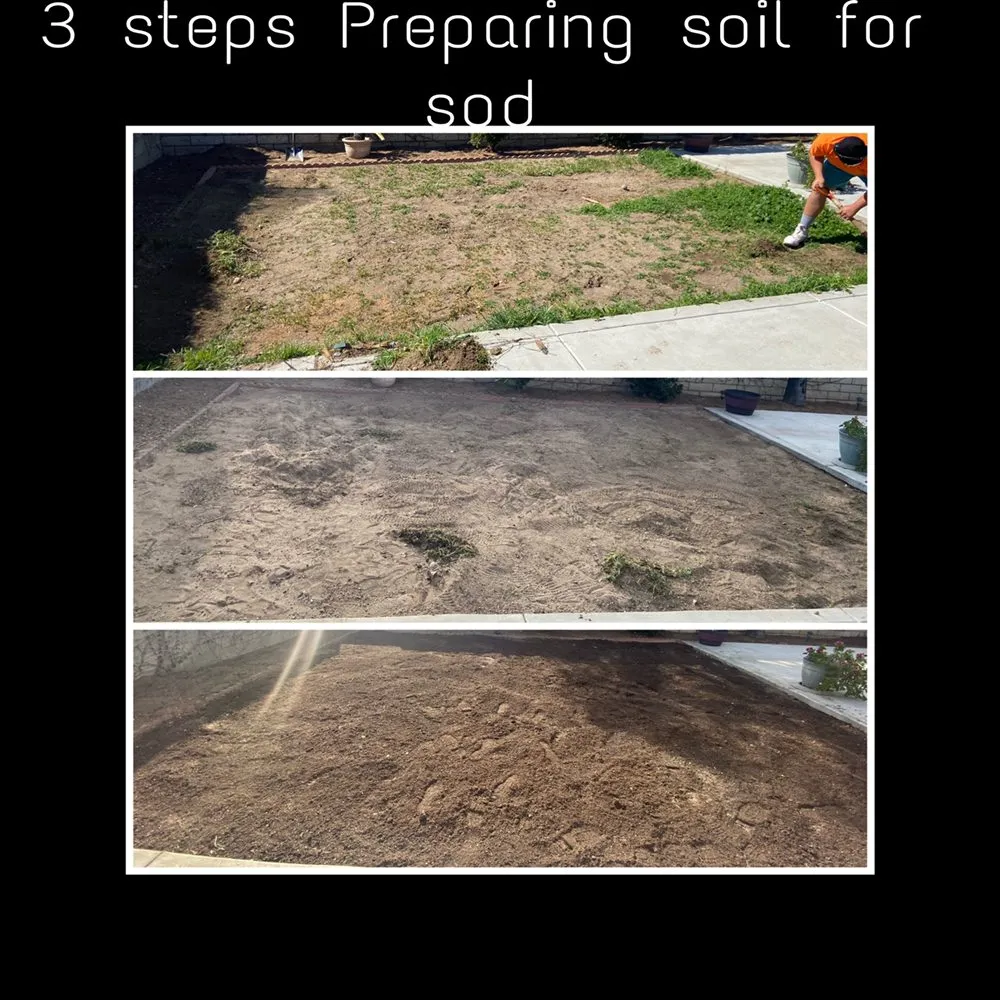 Affordable outdoor landscaping for year-round maintenance across San Bernardino, CA - Jesus Barajas Landscaping