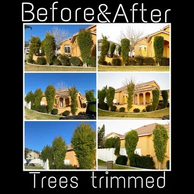 Jesus Barajas Landscaping Logo