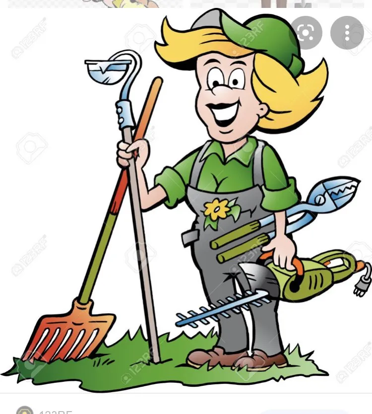 Custom lawn mowing service experts serving East Moriches, NY - Jesus Desing Landscaping