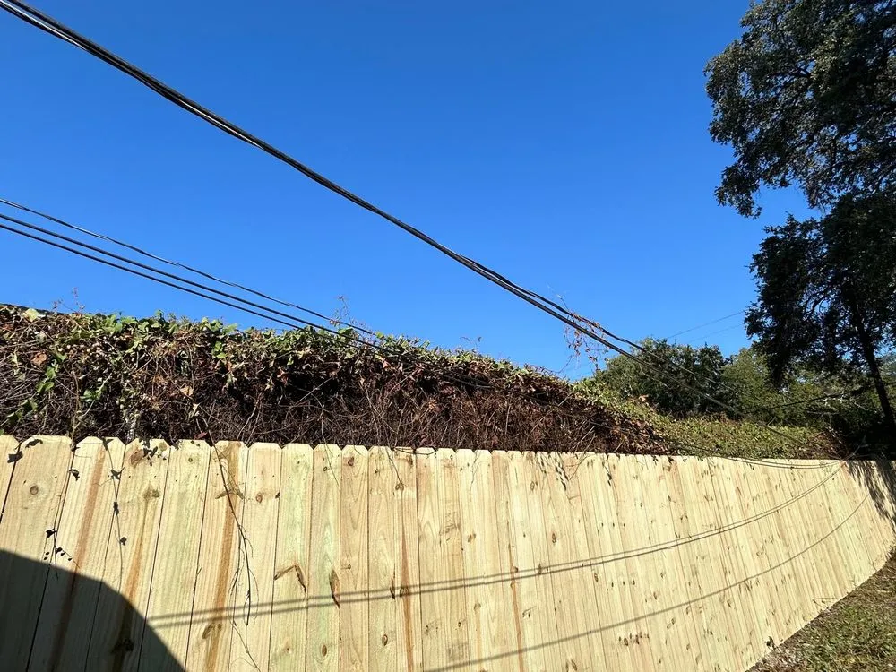 Affordable landscape design experts serving San Antonio, TX - Jesus Garcia Landscaping