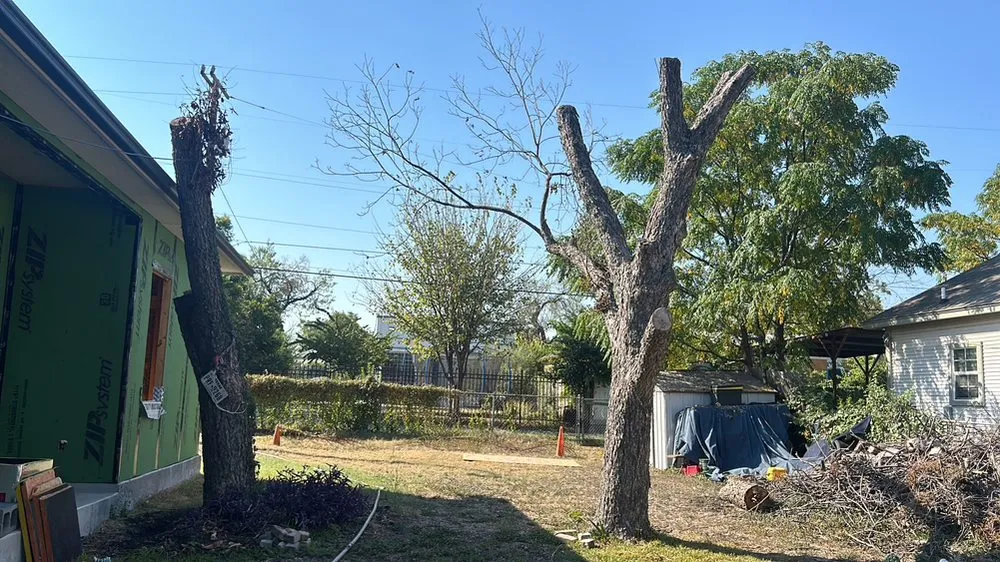 Top-rated outdoor landscaping with custom design across San Antonio, TX - Jesus Garcia Landscaping