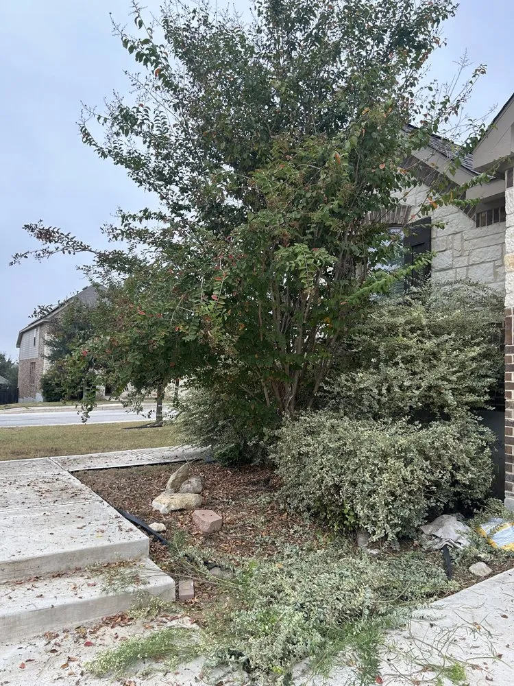 Trusted outdoor landscaping experts serving San Antonio, TX - Jesus Garcia Landscaping