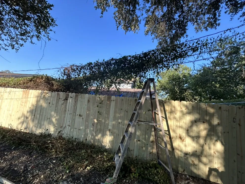 Professional yard maintenance in San Antonio, TX by Jesus Garcia Landscaping