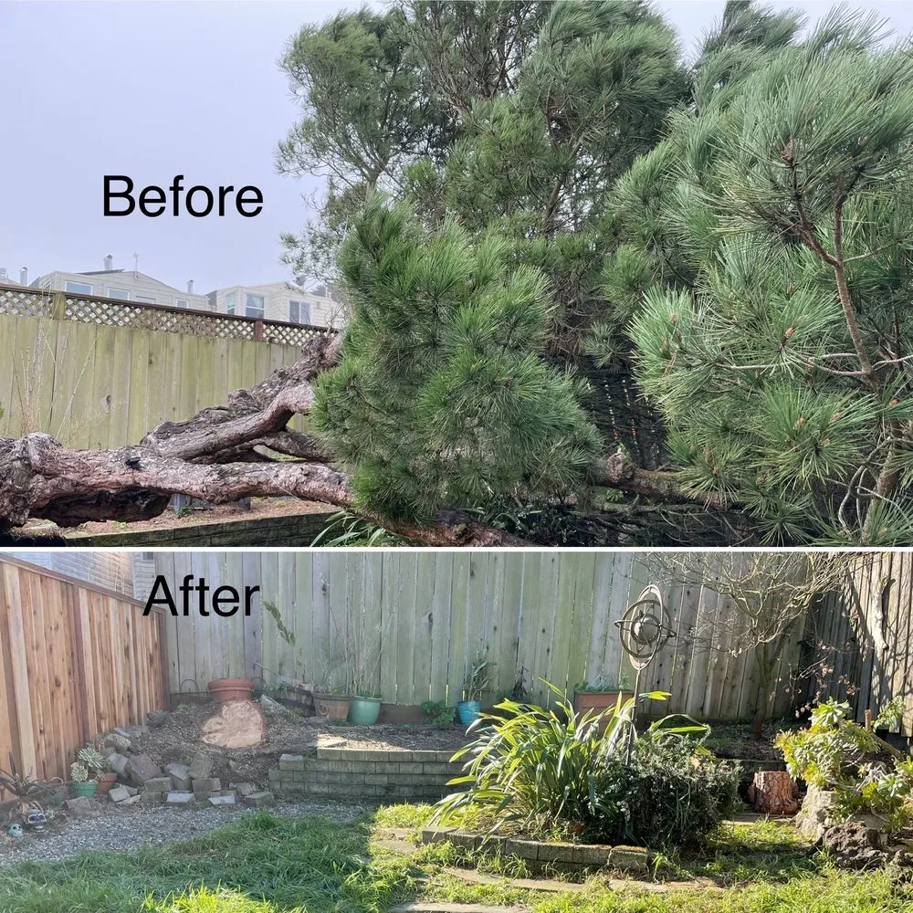 Local landscape design near you in Hayward, CA by Jesus Garden and Maintenance