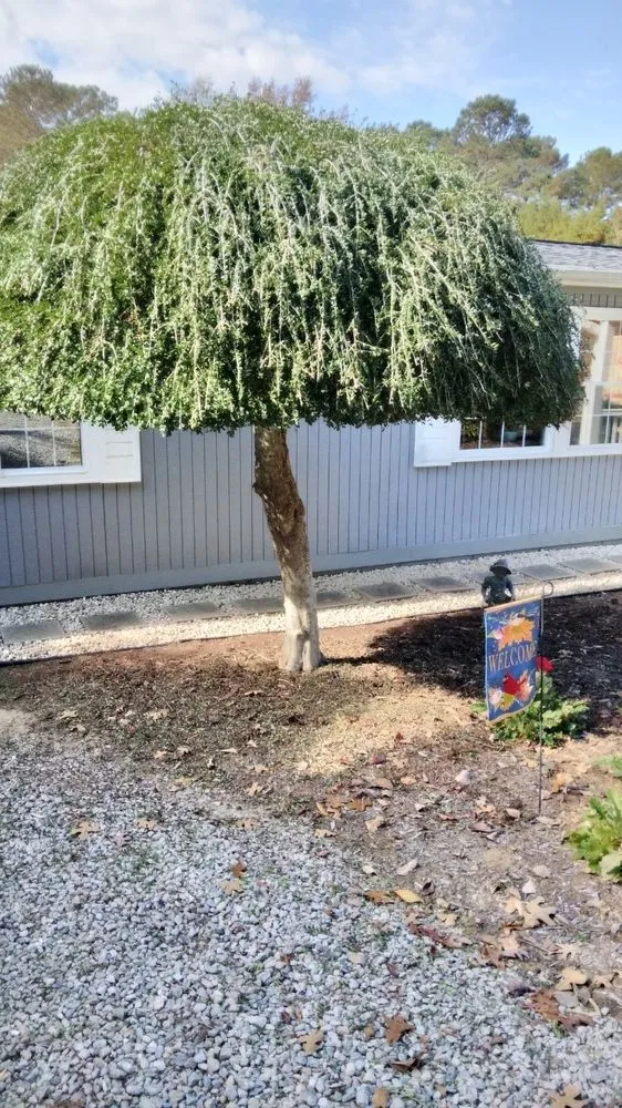 Top-rated landscape installation experts serving Littleton, NC - Jesus John And Joseph