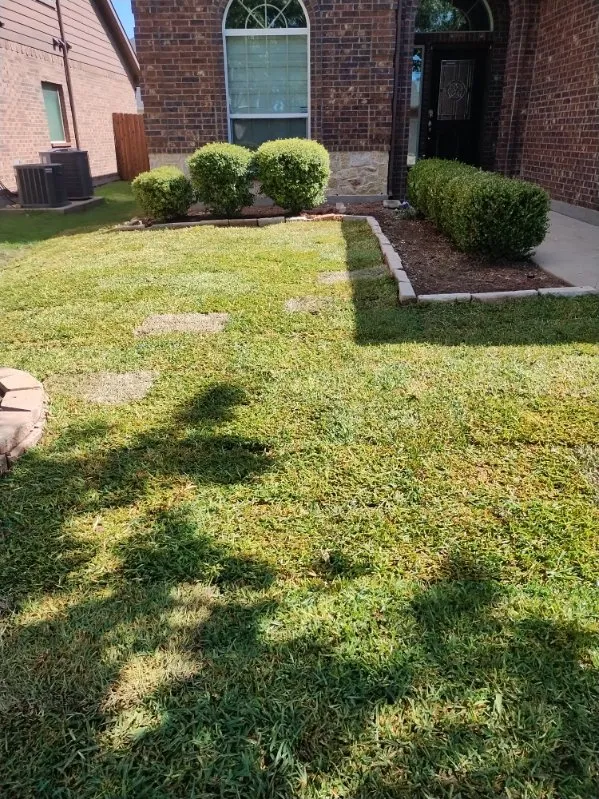 Professional yard maintenance in Fort Worth, TX - Jesus Junior Landscaping