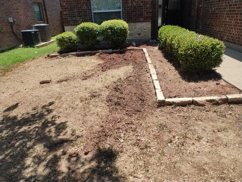 Trusted yard cleanup service in Fort Worth, TX - Jesus Junior Landscaping