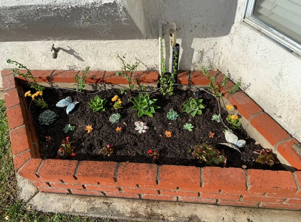 Custom lawn mowing service experts serving Irvine, CA - Jesus Landscape