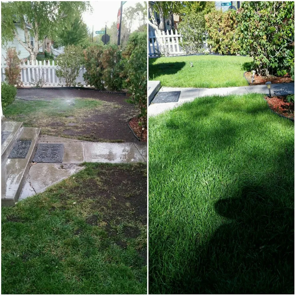 Professional landscape design for year-round maintenance in Irvine, CA by Jesus Landscape