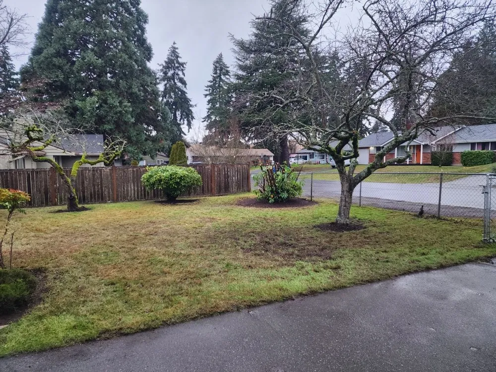 Professional landscaping services in Bellevue, WA - Jesus Landscaping & Construction