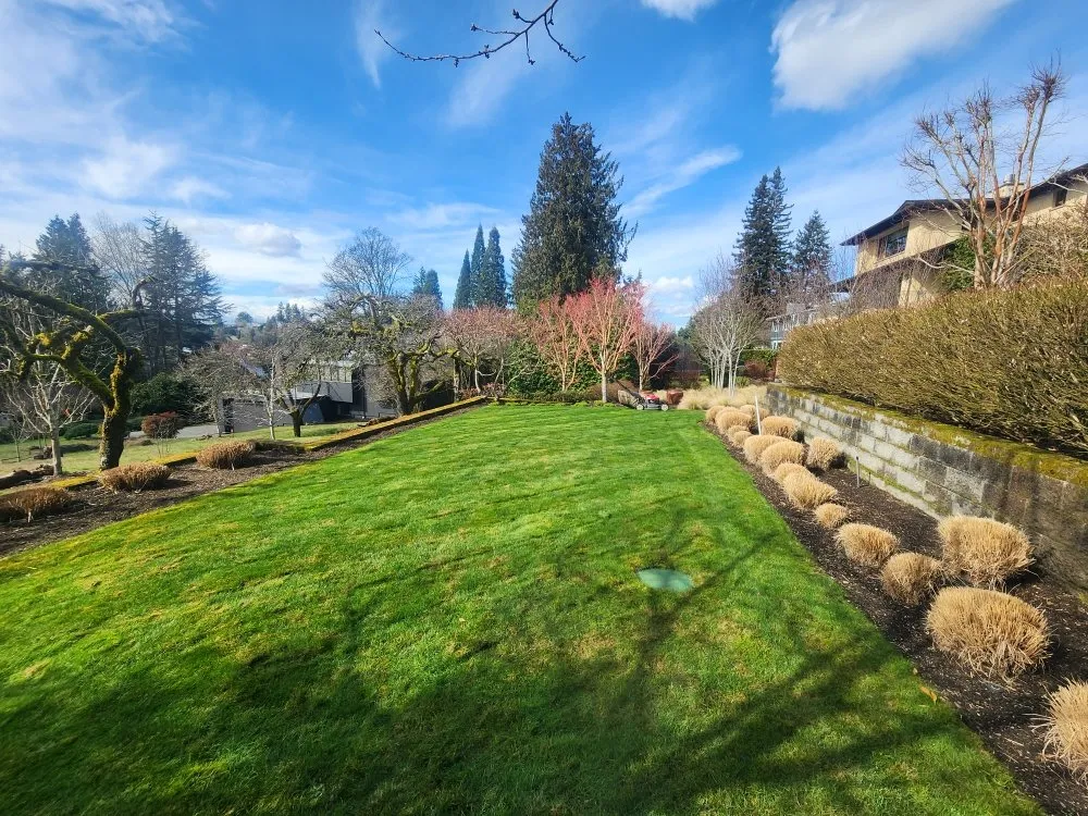 Top-rated yard maintenance for year-round maintenance in Bellevue, WA by Jesus Landscaping & Construction