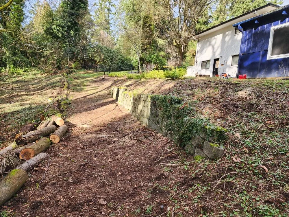 Trusted outdoor landscaping in Bellevue, WA - Jesus Landscaping & Construction