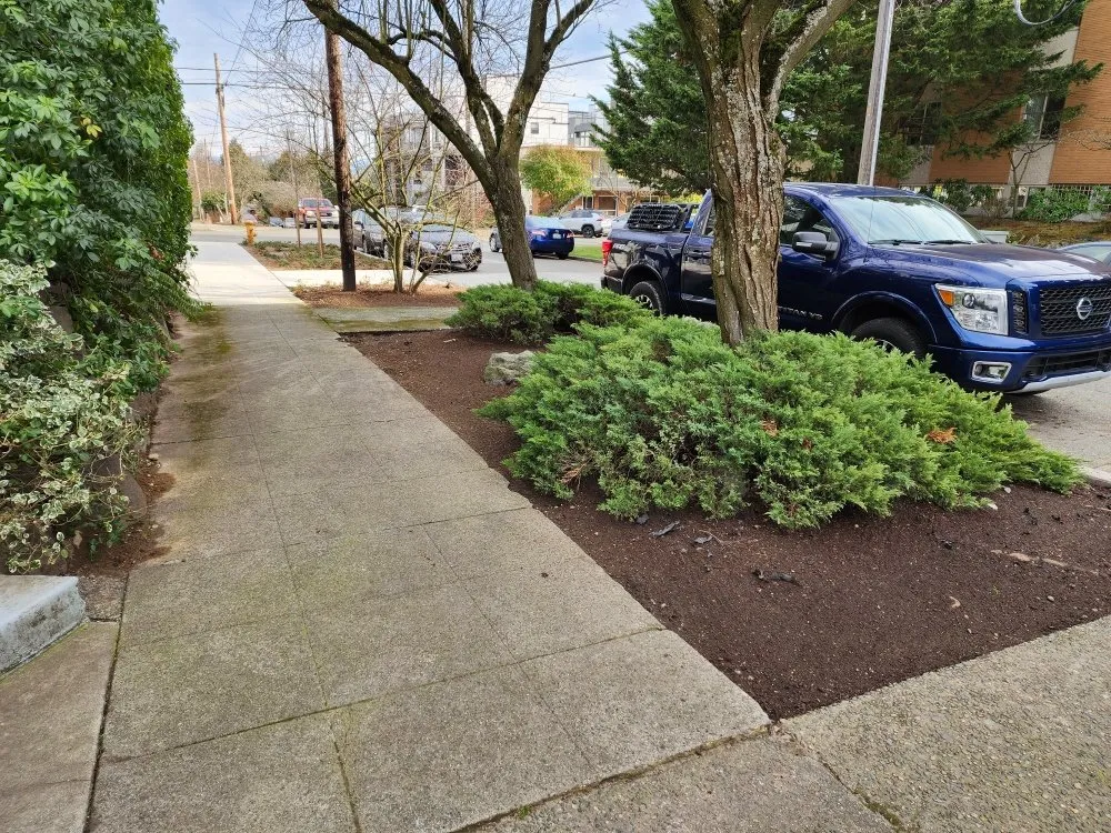 Expert residential landscaping in Bellevue, WA - Jesus Landscaping & Construction
