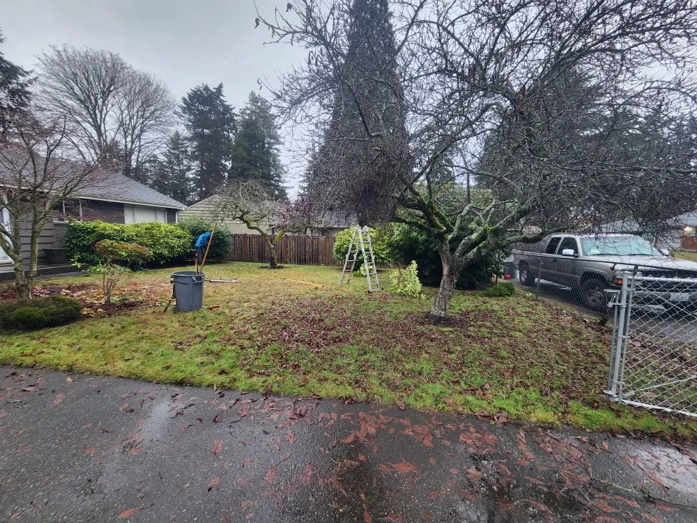 Trusted landscape installation for year-round maintenance across Bellevue, WA - Jesus Landscaping & Construction