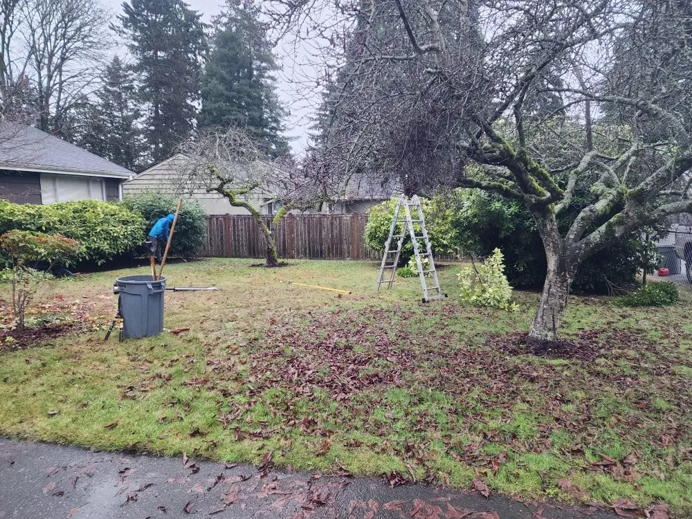 Professional landscaping services for beautiful yards across Bellevue, WA - Jesus Landscaping & Construction