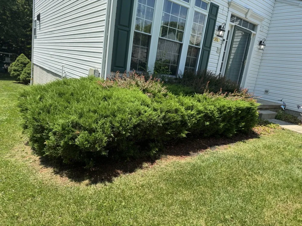 Expert residential landscaping in Abingdon, MD - Jesus Landscaping