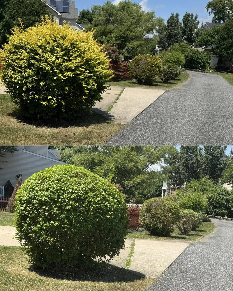 Expert landscape design near you in Abingdon, MD by Jesus Landscaping