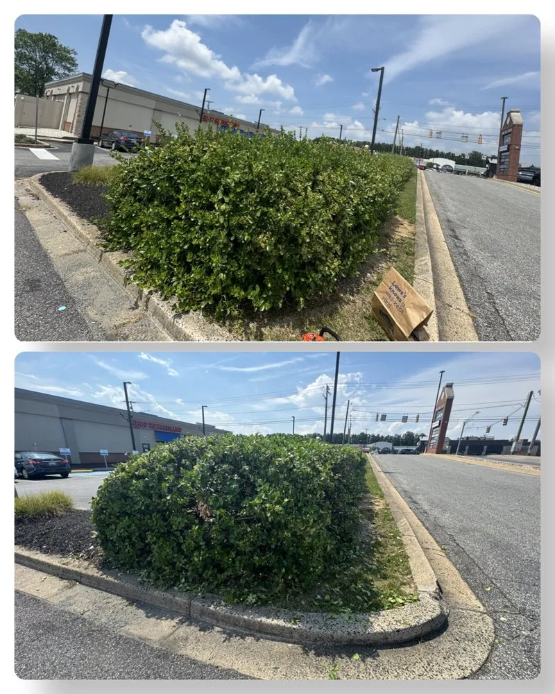 Trusted landscape design in Abingdon, MD by Jesus Landscaping