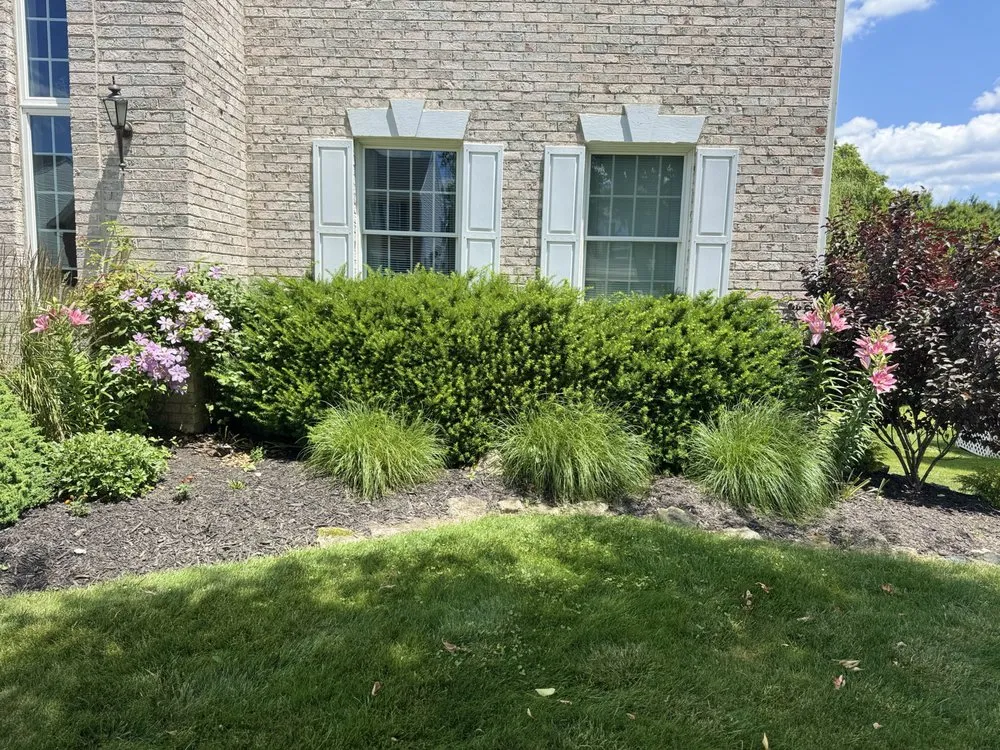 Trusted lawn care service in Abingdon, MD - Jesus Landscaping
