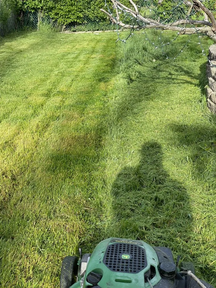 Trusted lawn mowing service for homes across Chicago, IL - Jesus landscaping and painting