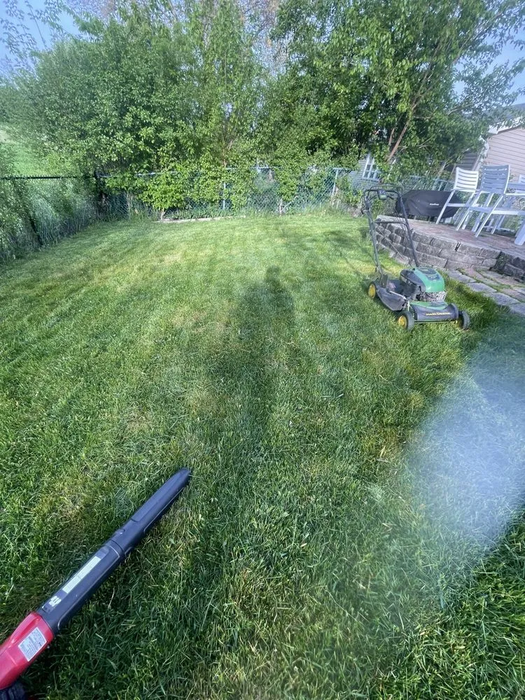 Custom yard cleanup service for beautiful yards in Chicago, IL by Jesus landscaping and painting