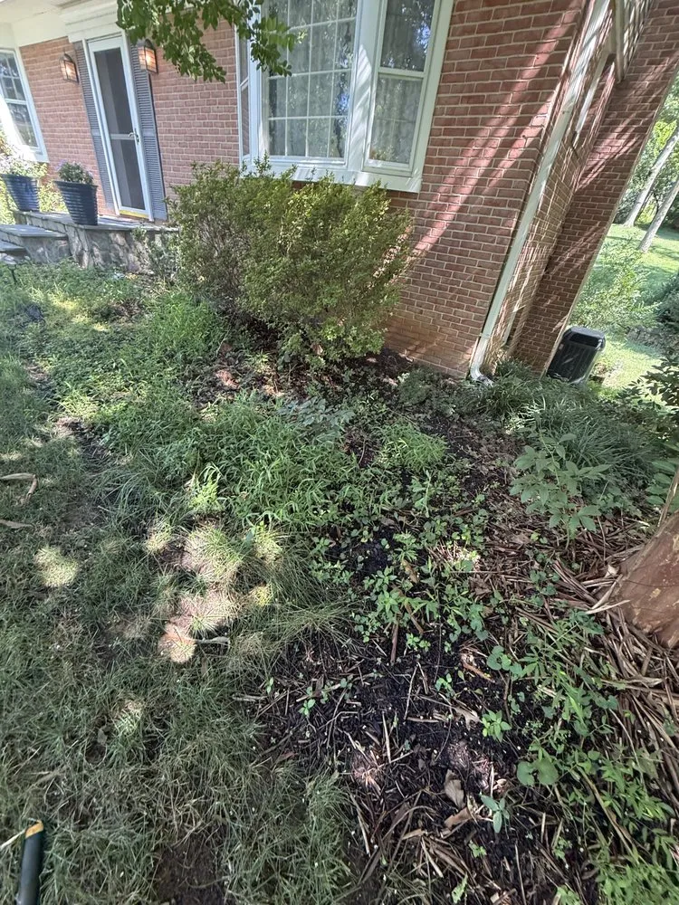 Expert lawn mowing service in Elkridge, MD - Jesus Landscaping