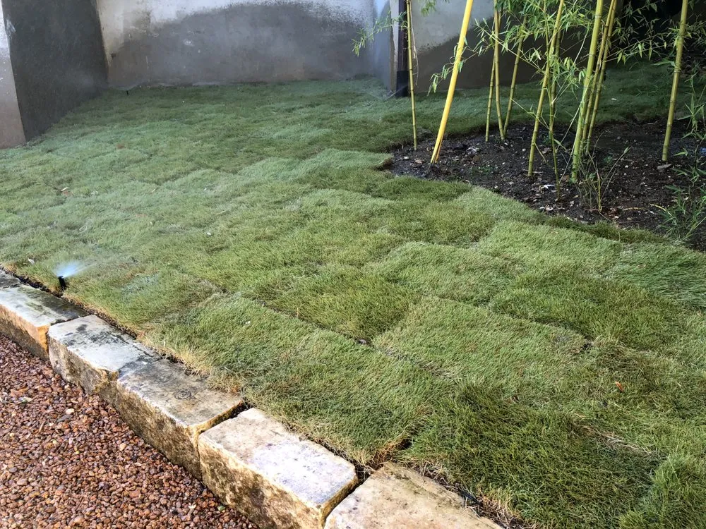 Top-rated landscape installation for homes in Round Rock, TX by Jesus Landscaping