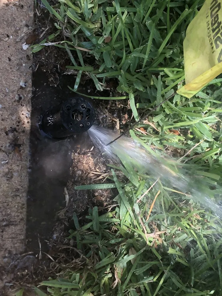 Reliable yard cleanup service in Round Rock, TX by Jesus Landscaping