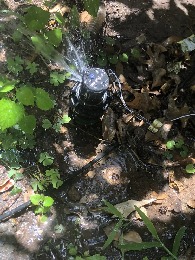 Expert lawn mowing service in Round Rock, TX by Jesus Landscaping