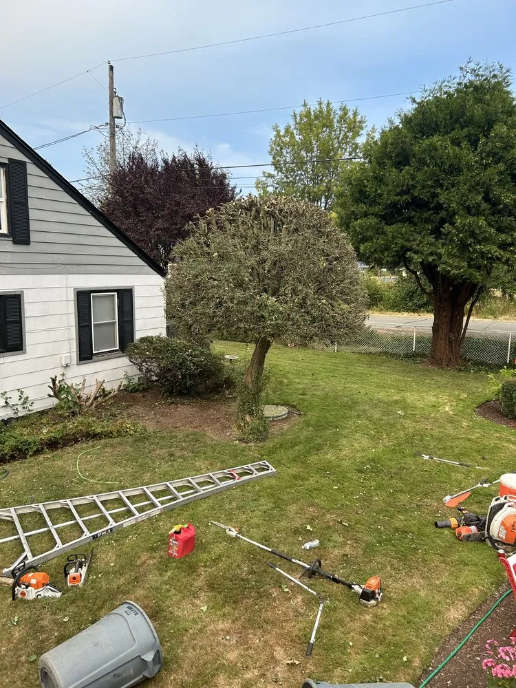 Expert yard maintenance in Shelton, WA - Jesus Landscaping