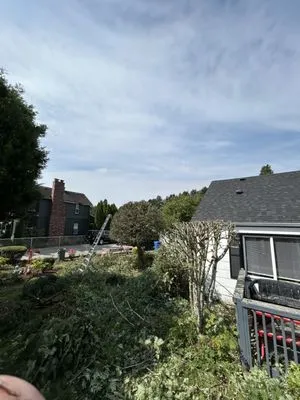 Jesus Landscaping Logo