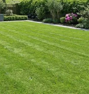 Local lawn care service in Youngstown, OH - Jesus Landscaping