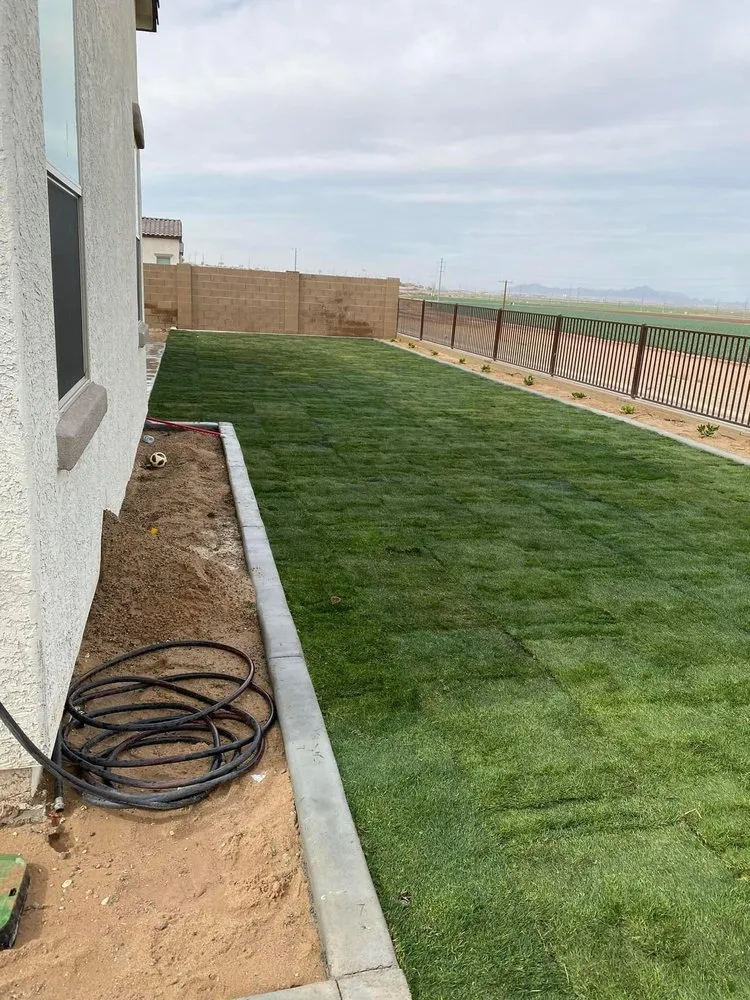 Professional yard maintenance in Yuma, AZ by Jesus Landscaping