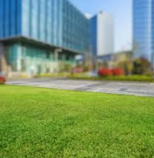 Reliable lawn mowing service in Pahokee, FL - Jesus Lawn Care