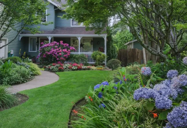 Professional landscaping services experts serving Pahokee, FL - Jesus Lawn Care