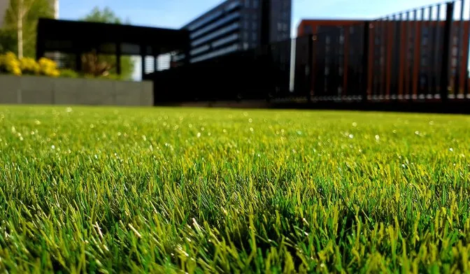 Professional landscaping services experts serving Pahokee, FL - Jesus Lawn Care