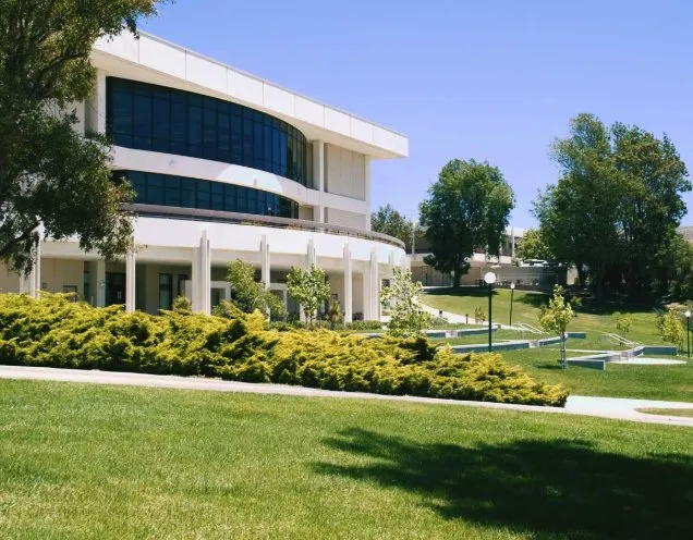 Custom yard maintenance in Pahokee, FL by Jesus Lawn Care