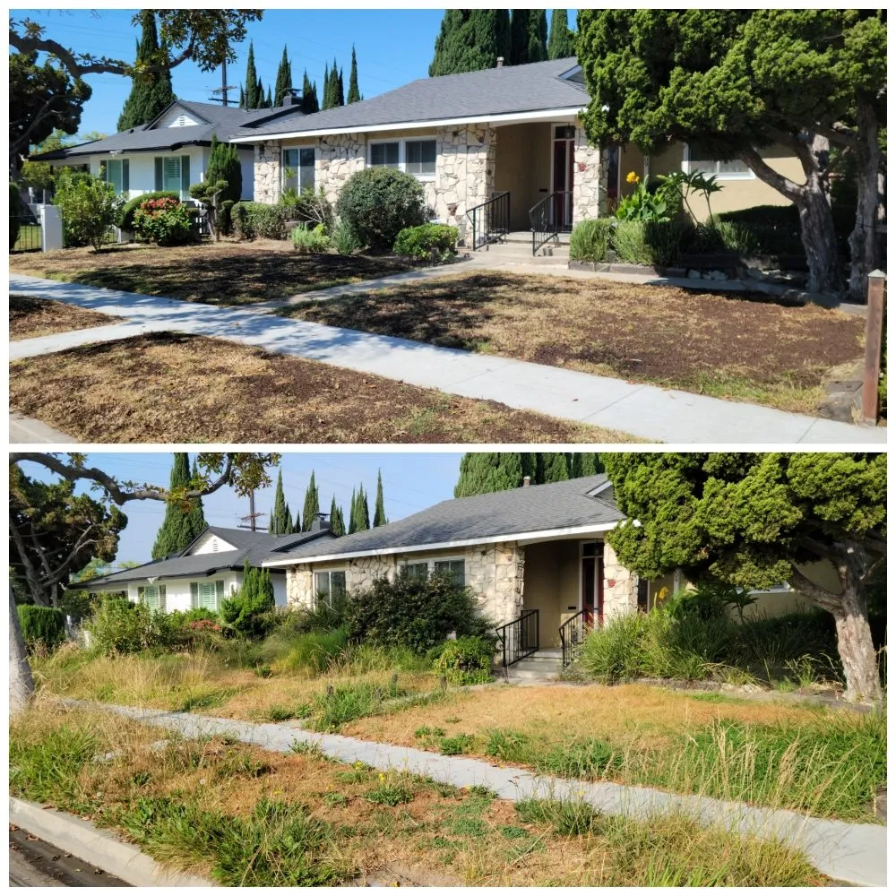 Trusted landscape design with custom design across Bellflower, CA - Jesus Lawn Maintenance