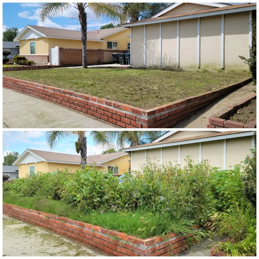 Affordable yard maintenance experts serving Bellflower, CA - Jesus Lawn Maintenance