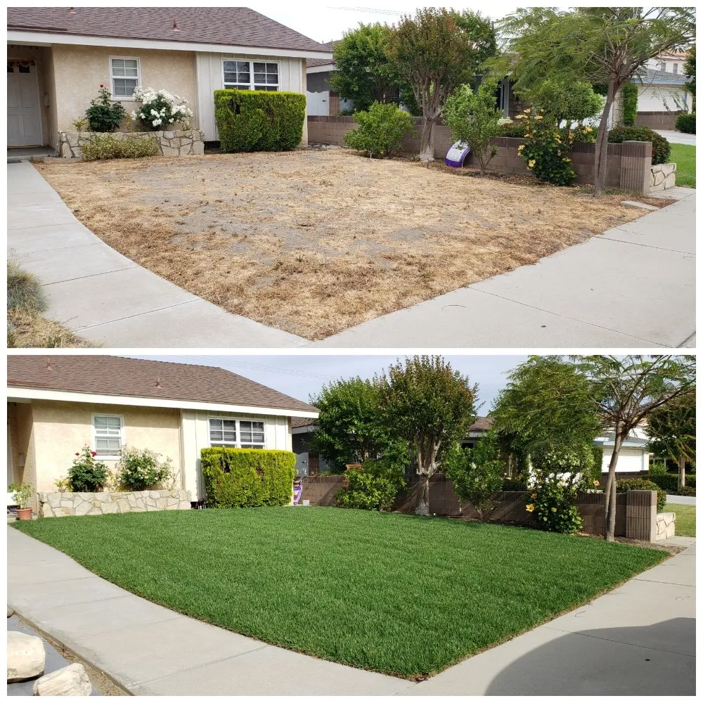 Affordable yard cleanup service near you across Bellflower, CA - Jesus Lawn Maintenance