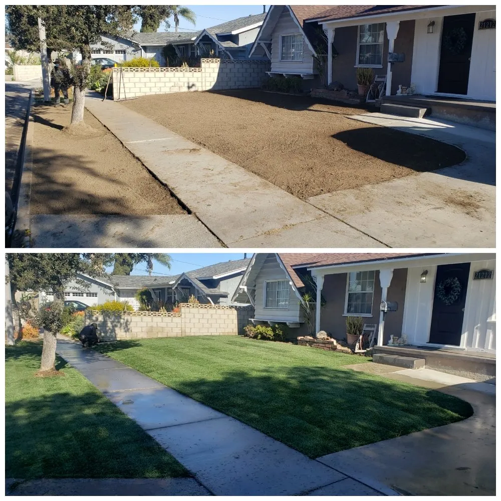 Local landscape installation in Bellflower, CA by Jesus Lawn Maintenance