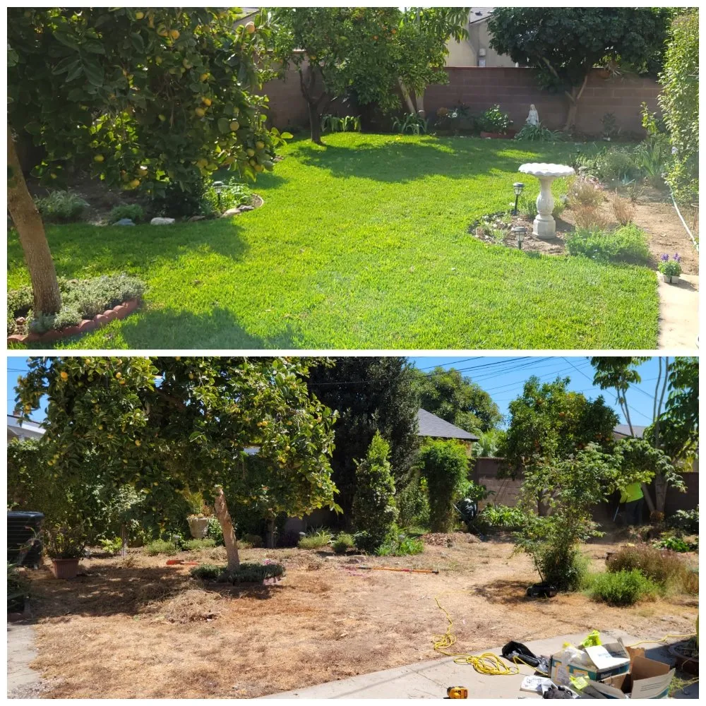 Professional residential landscaping in Bellflower, CA by Jesus Lawn Maintenance